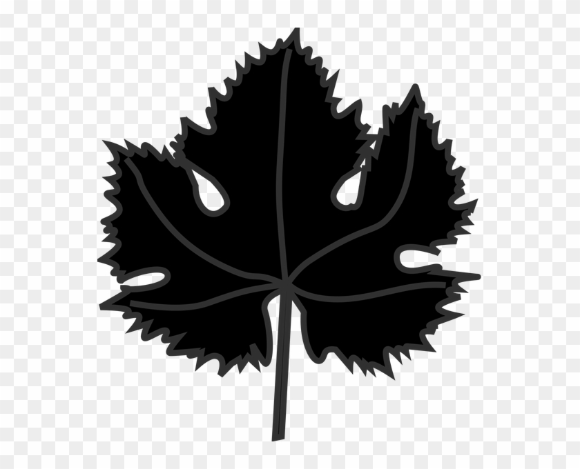 Image Freeuse Clipart Vines Download Wallpaper Full - Senior Beta Club Seal - Png Download #4614142