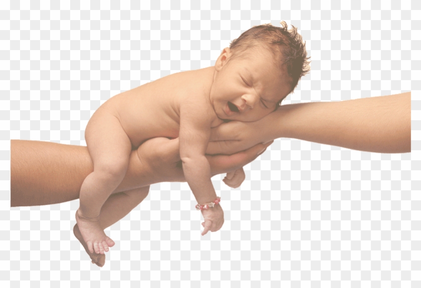 Baby Friendly Online Education - Baby Education Clipart