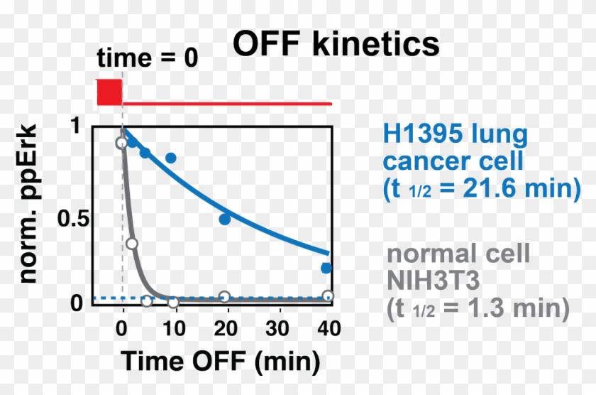 @toettch) And Found That Unlike Normal Cells, A Certain - Say No To Politics Clipart