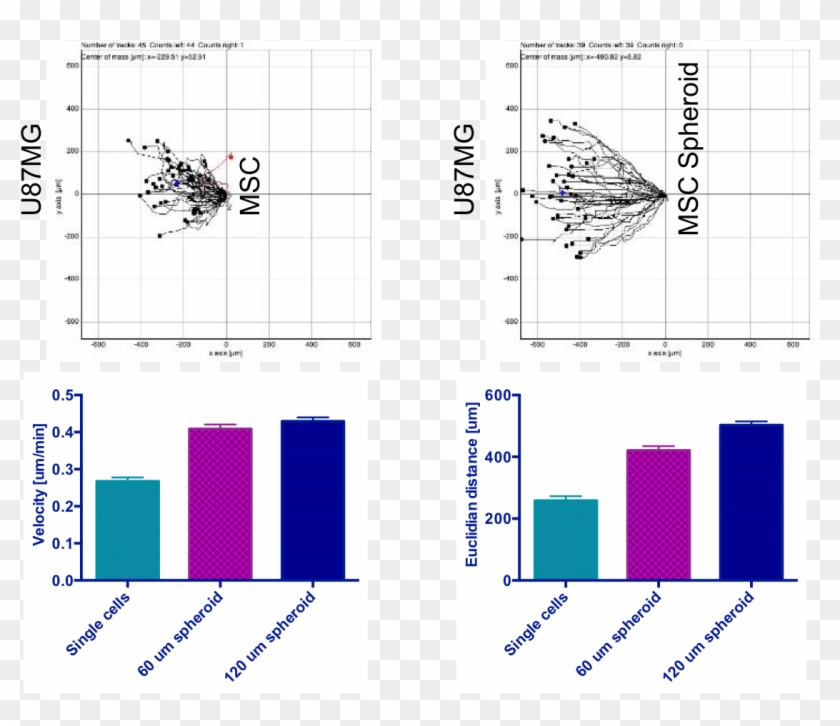 The Condition Media Also Effectively Killed The Cancer - Orexin Parkinson's Disease Clipart