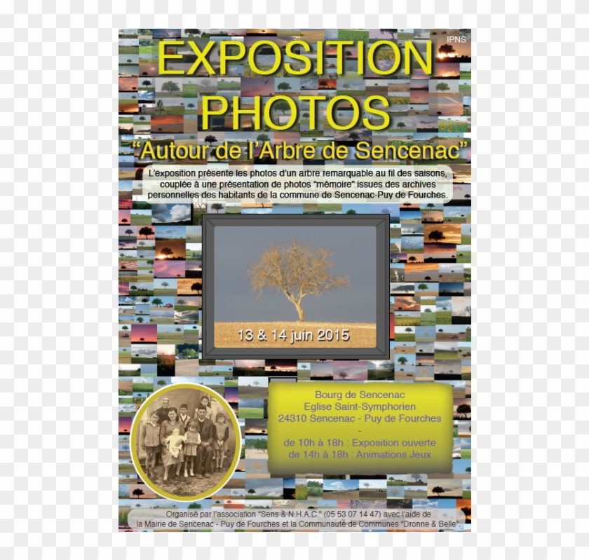 Arton132 - Circle Clipart