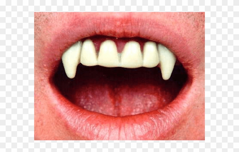 Vampire Fangs - Count Dracula Teeth Clipart #4615249