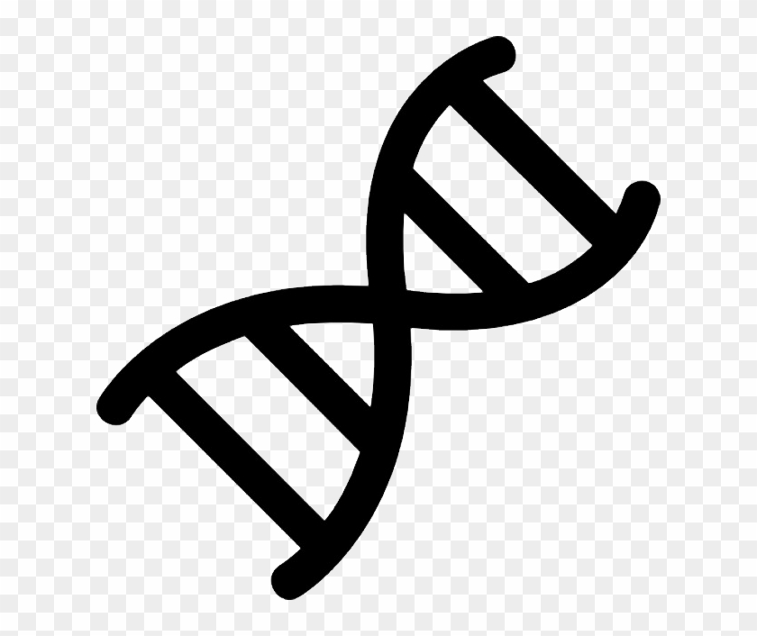 Dna Png - Chromosome Svg Clipart
