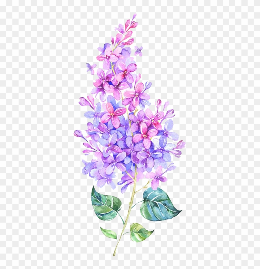 Pink Flower Purple Color - Flower Purple Watercolor Png Clipart #4616049