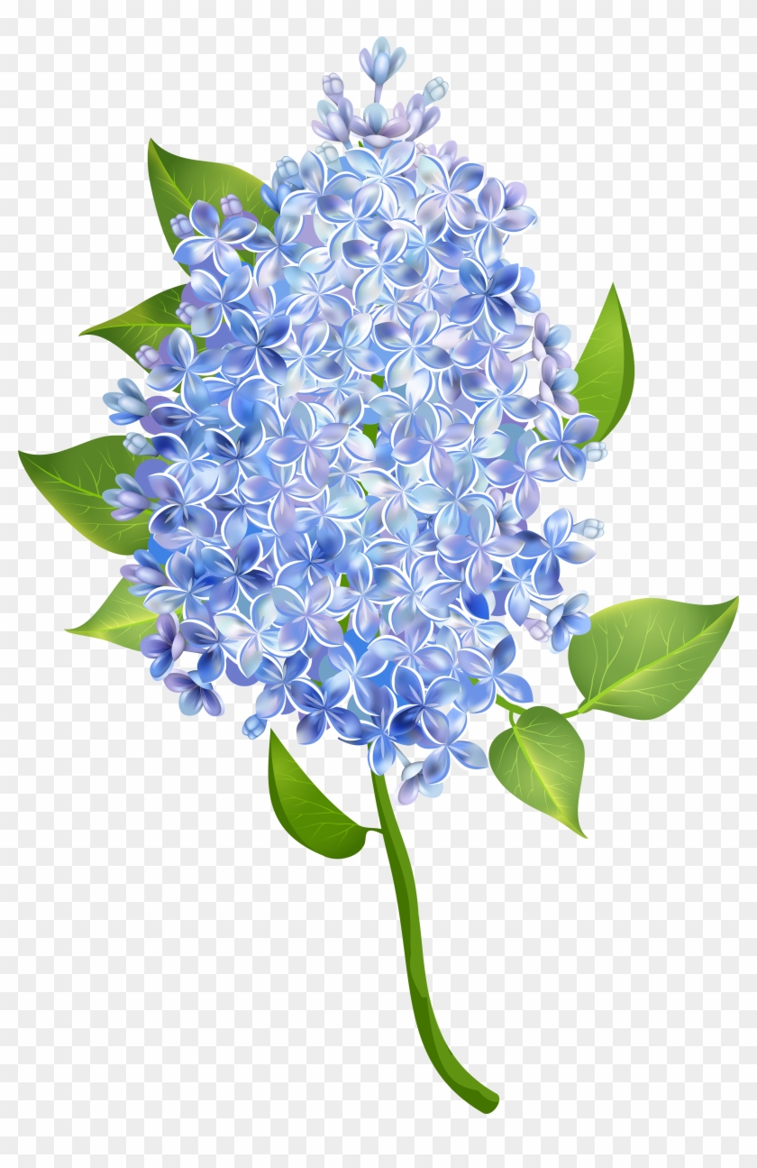 Bluebonnet Clipart #4616107
