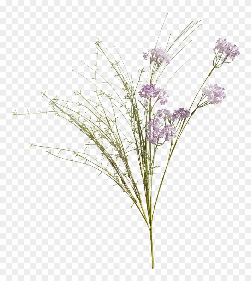 Meadow Flowers Png Clipart #4616345