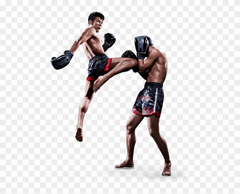 Muay Thai Training Program - Muay Thai Clipart #4616832