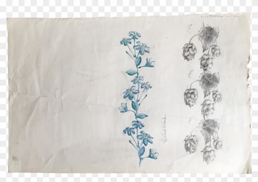 Dutch Plein Air Wildflower Study - Sketch Clipart #4616890