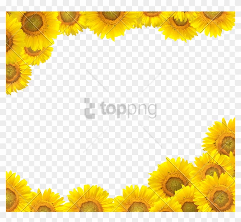 Free Png Sunflower Frame Png Png Image With Transparent - Sunflower Border Design Clipart #4617031