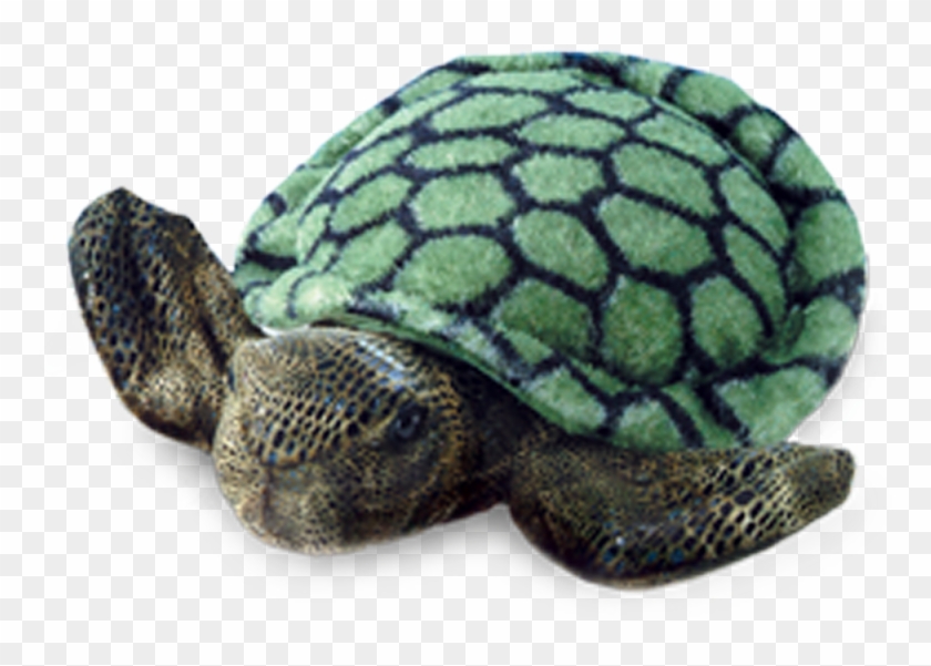 Unicorn - Adopt A Turtle Clipart #4617183