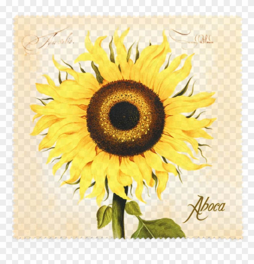 Picture Of Flower Cloth Sunflower - Aboca Clipart #4617396