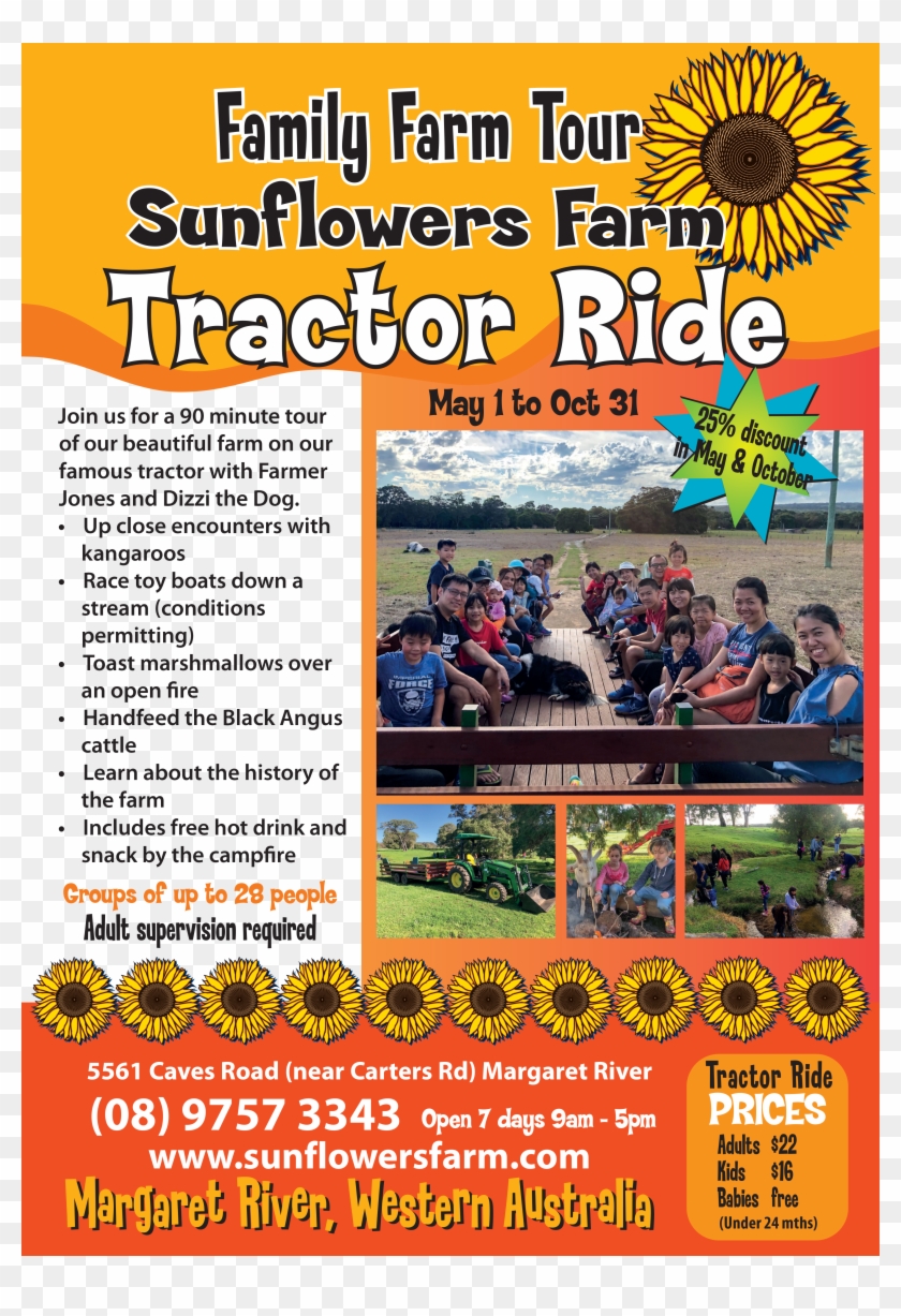Sunflowers Animal Farm Tractor Rides Clipart #4618014