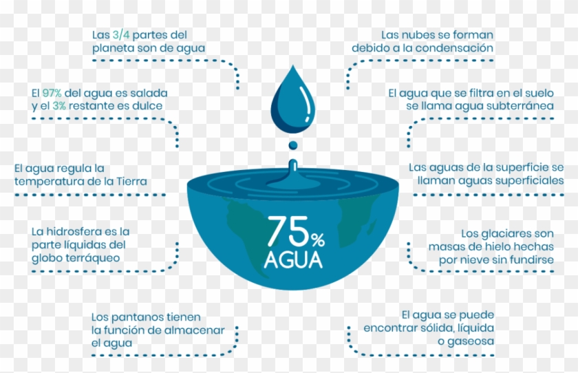 Amamos El Agua Infografia3 - Circle Clipart #4618446