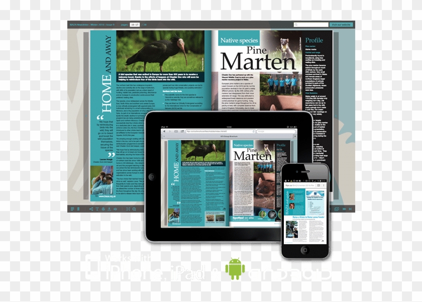 Some Examples From Our Page-turn Brochure Portfolio - Tablet Computer Clipart