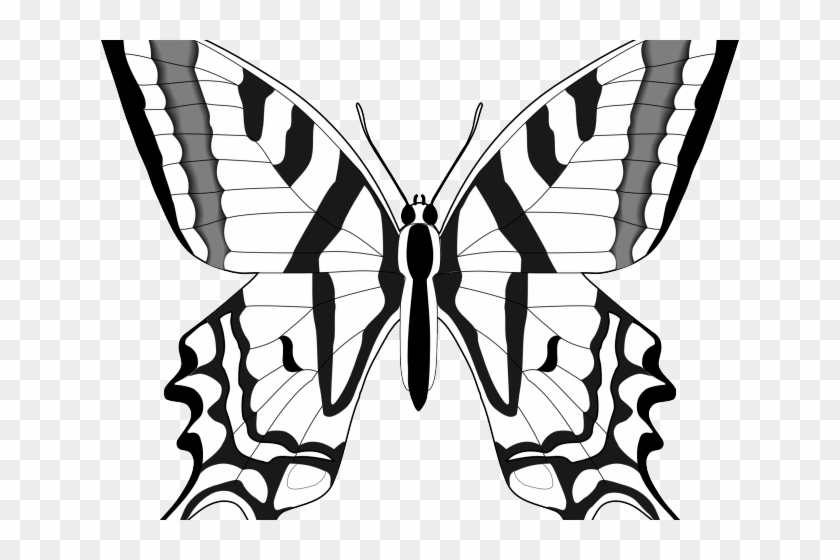 Black And White Butterfly - Insects And Bugs Clipart Free - Png Download #4620393