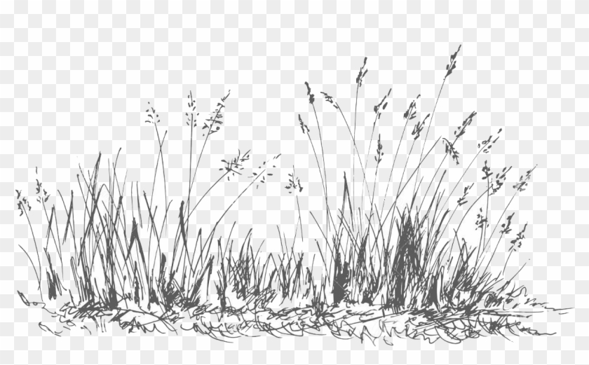 Instagram - Grass Clipart #4620935