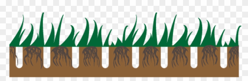 Lawn Aeration - Grass Clipart