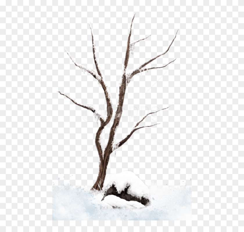 Free Png Download Brown Winter Snowy Treepicture Png - Winter Tree In Png Clipart #4621377