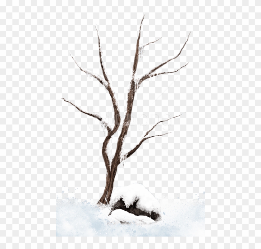 Free Png Download Brown Winter Snowy Treepicture Png - Winter Tree In Png Clipart