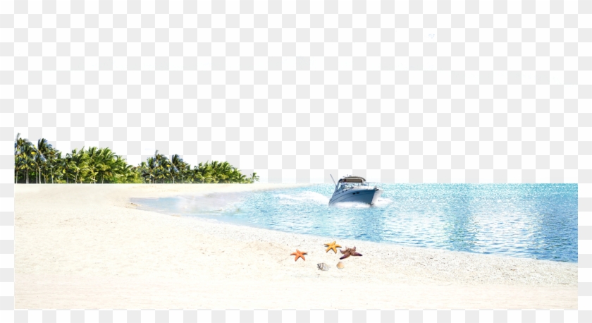 Vector Beach Background Wallpaper - Beach Clipart