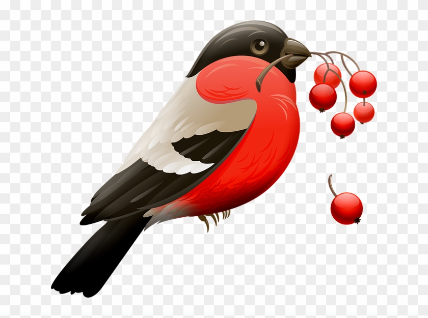 Các Loại Động Vât Clipart