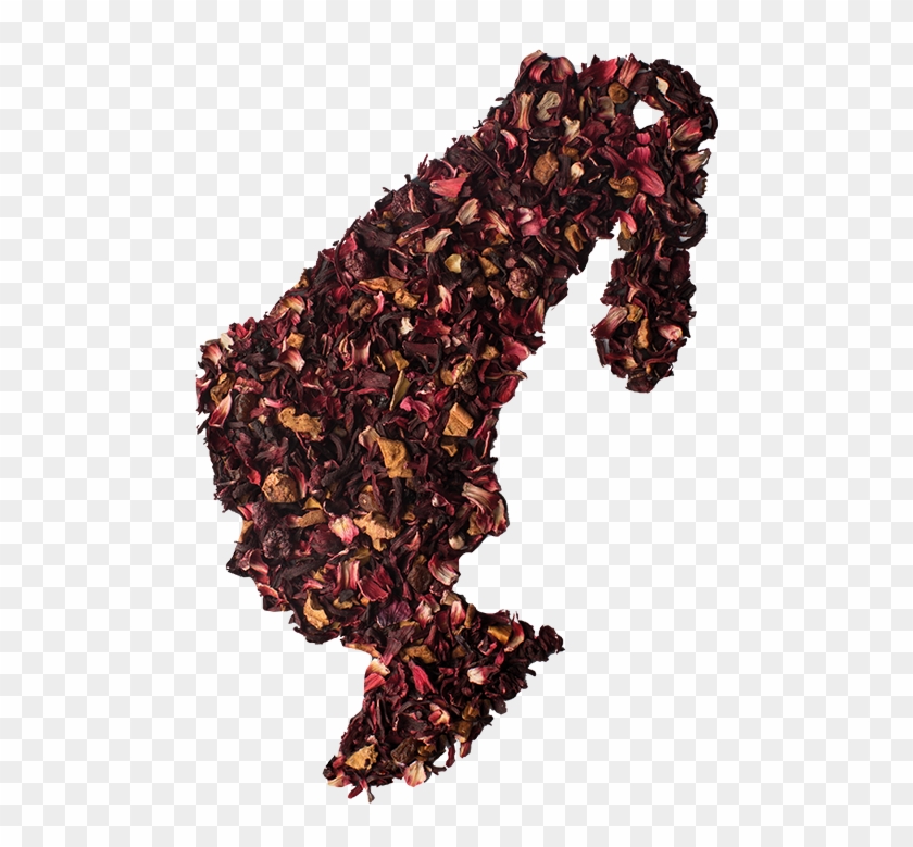 Red Berry Temptation - Insect Clipart