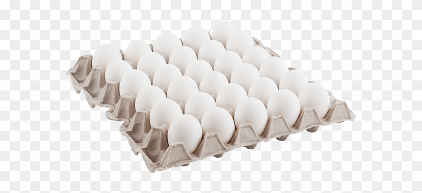 Huevo Blanco Clipart #4625905