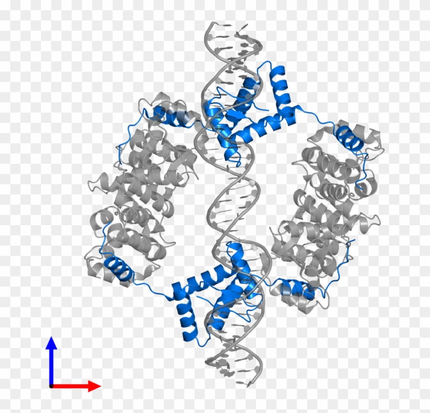 <div Class='caption-body'>pdb Entry 2h1o Contains 4 - Illustration Clipart