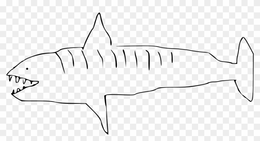 Tiger Shark , Png Download - Tiger Shark Line Drawing Clipart