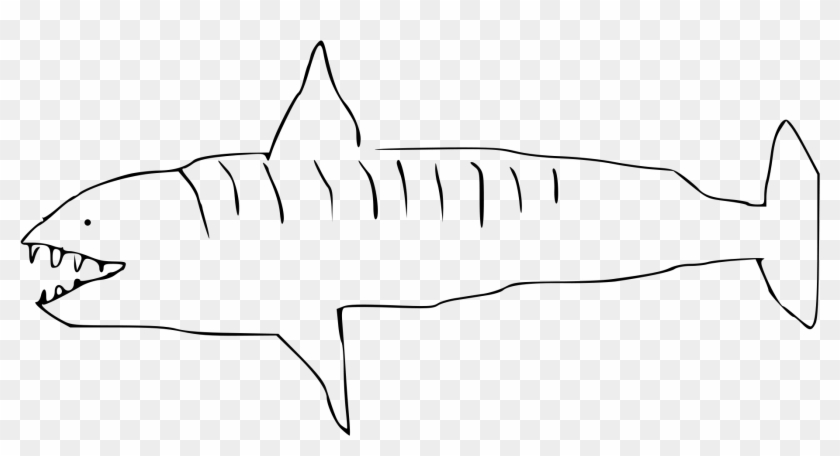Tiger Shark , Png Download - Tiger Shark Line Drawing Clipart #4627122