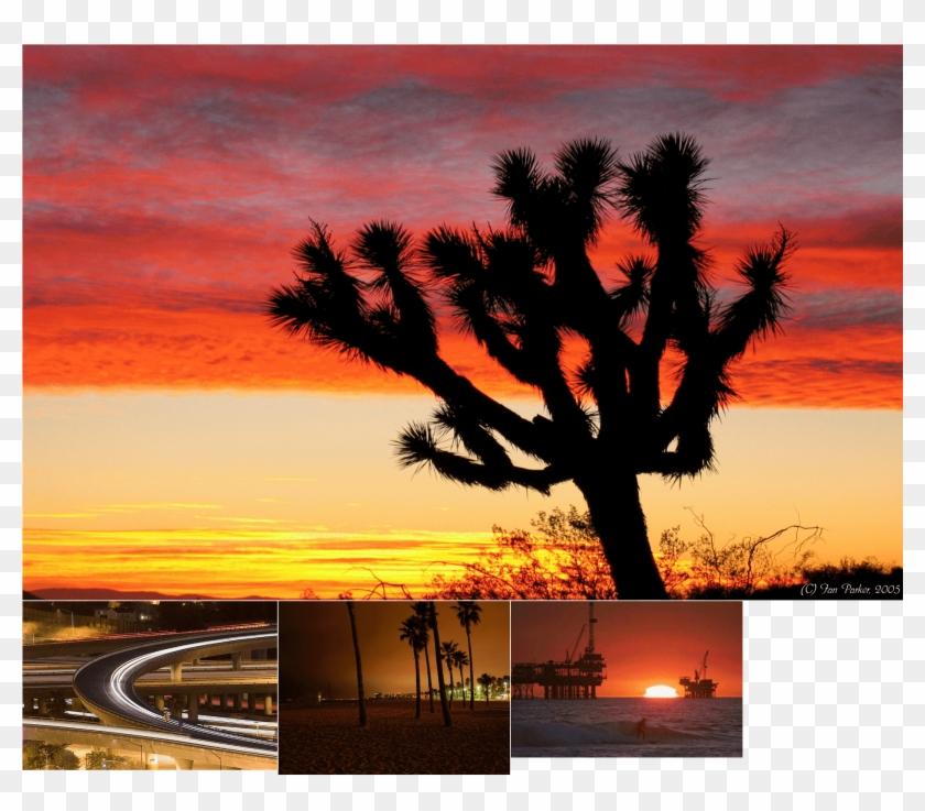 Car Atlas - Beautiful Sunset Joshua Tree Clipart