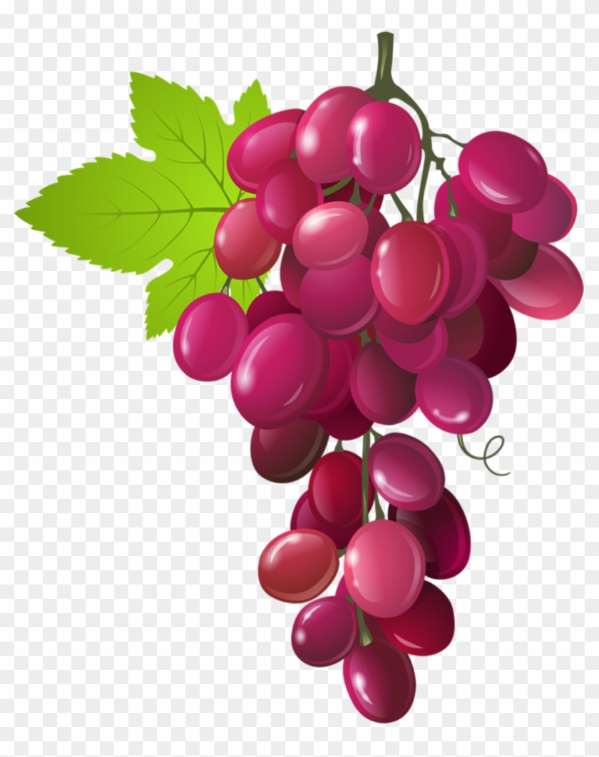 Grapes Clipart Fruit Vegetable - Benefits Of Grapes - Png Download