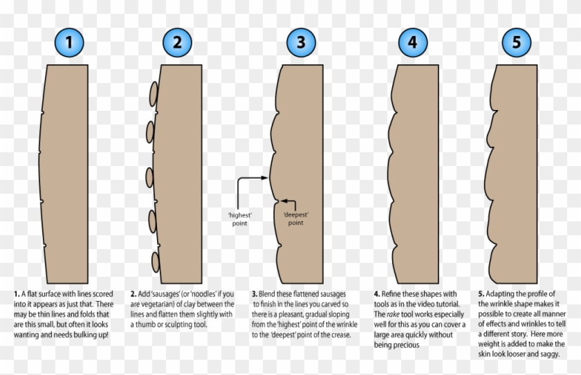 Illustration Showing A Cross Section Of Wrinkle Sculpting - Wrinkle Cross Section Clipart #4628951