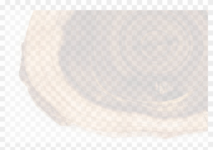 Tree Rings , Png Download - Wood Clipart