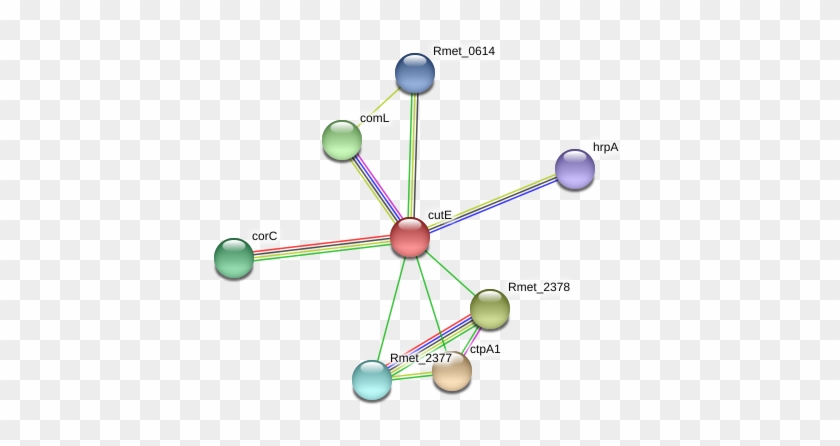 Circle Clipart #4629139