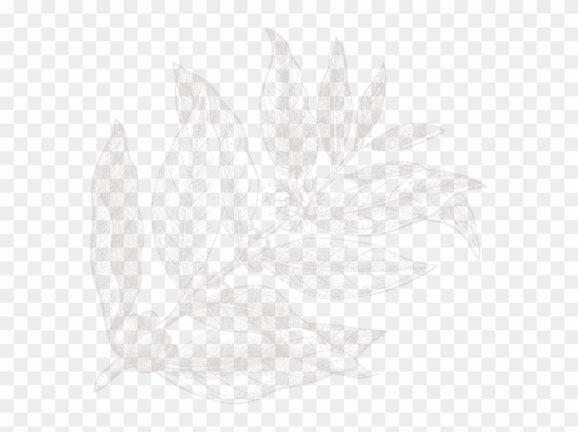 Together, They Have Almost 100 Years Of Professional - Sketch Clipart #4629600