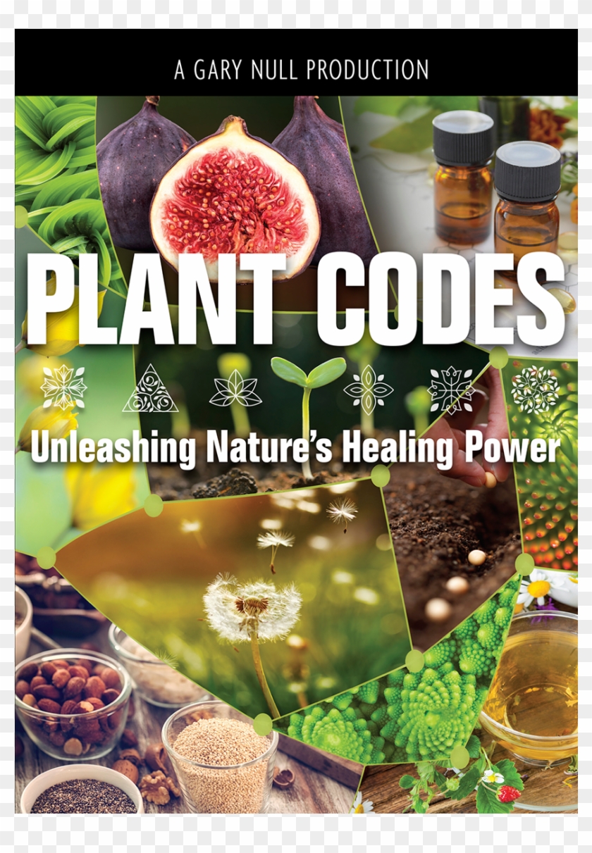 Sale Plant-codes - Common Fig Clipart