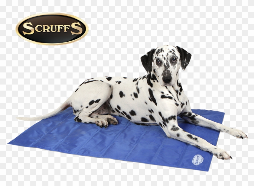 Scruffs Cool Mat, Large, Cyan/navy , - Scruffs Cooling Mat Clipart