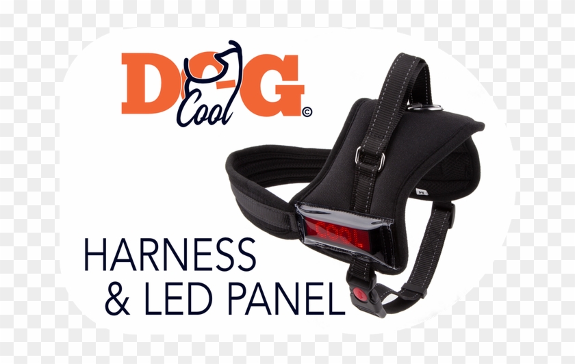 Original - Buckle Clipart #4631822