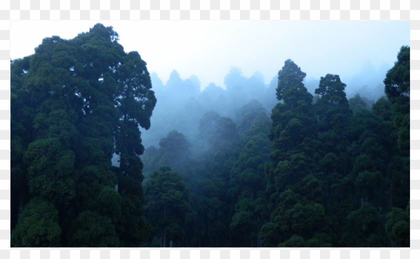 Score 50% - Landscape / Leaves Clipart #4631887