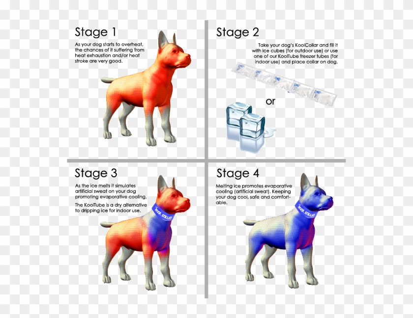 Koolcollars Help Keep Dogs From Oveheating And Suffering - Temperatura Corporal De Un Perro Clipart