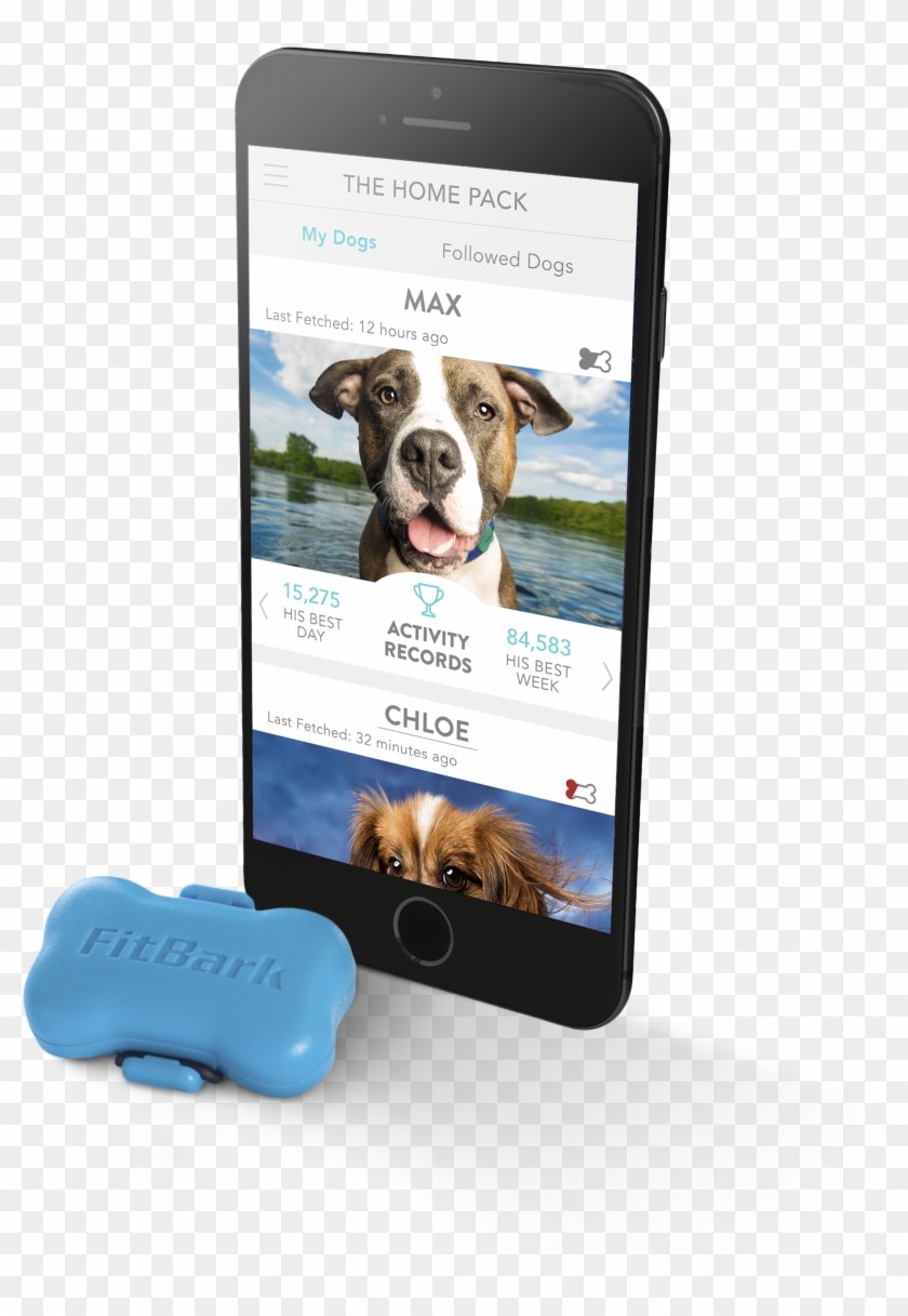 Fitbark Dog Activity Monitor - Iphone Clipart #4632084