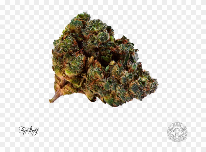 Top Shelf Elite Auto Black Valium Fem - Black Valium Auto Clipart