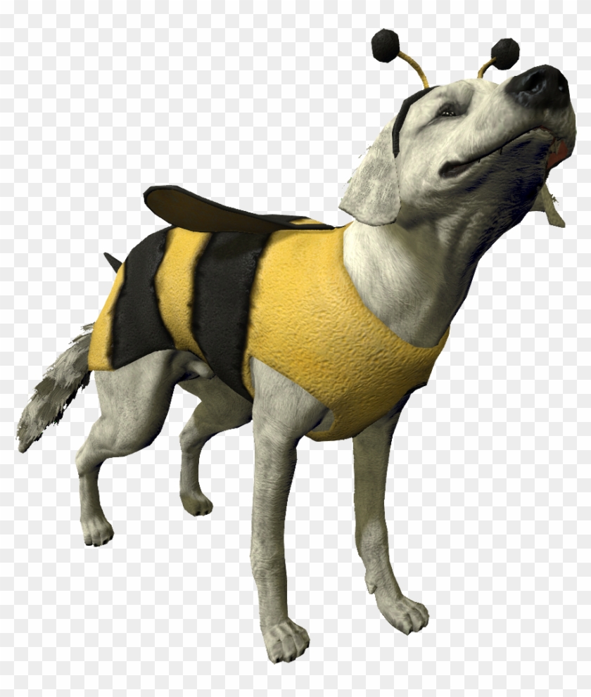 6 Replies 4 Retweets 36 Likes - Dog Catches Something Clipart #4632418
