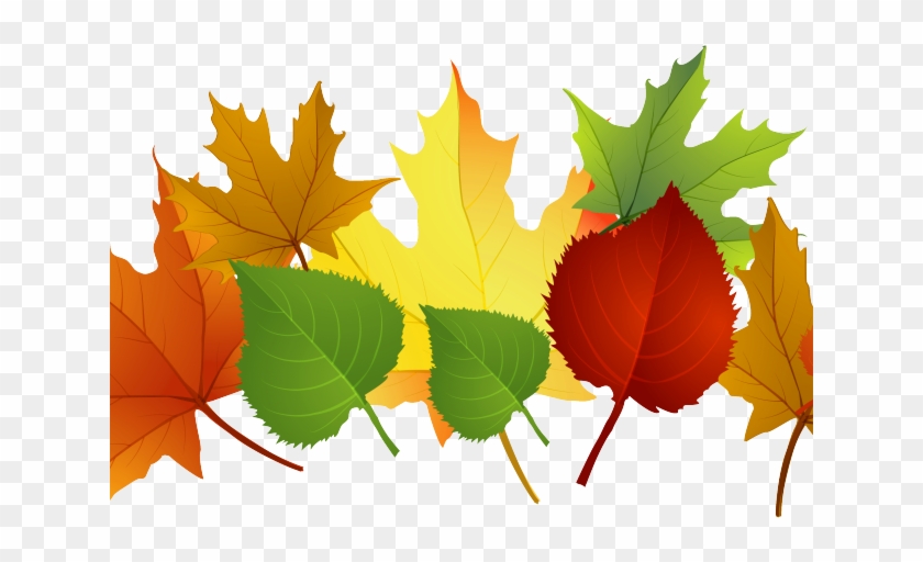 Fall Leaves Clip Art Png Transparent Png #4632421