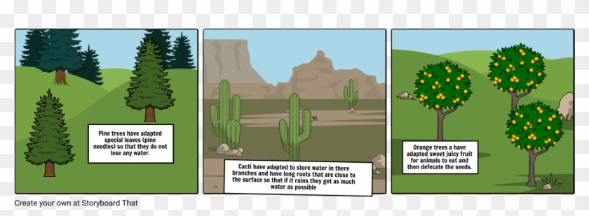 Pine Trees Have Adapted Special Leaves - Hedgehog Cactus Clipart