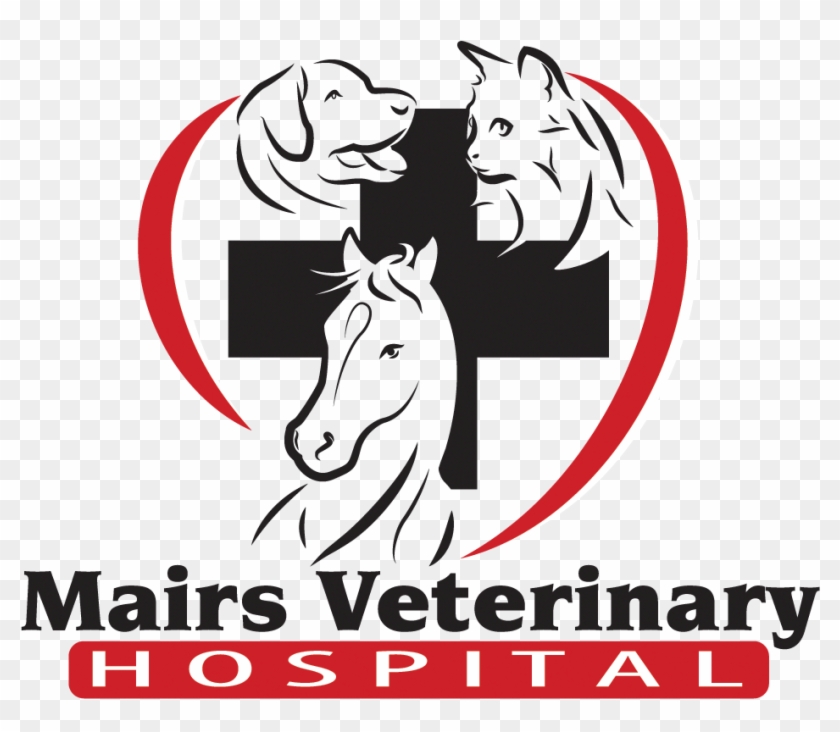 Mairs Veterinary Hospital - Stallion Clipart