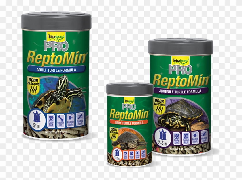 Tetrafauna® Offers A Variety Of Scientifically Formulated, - Box Turtle Clipart