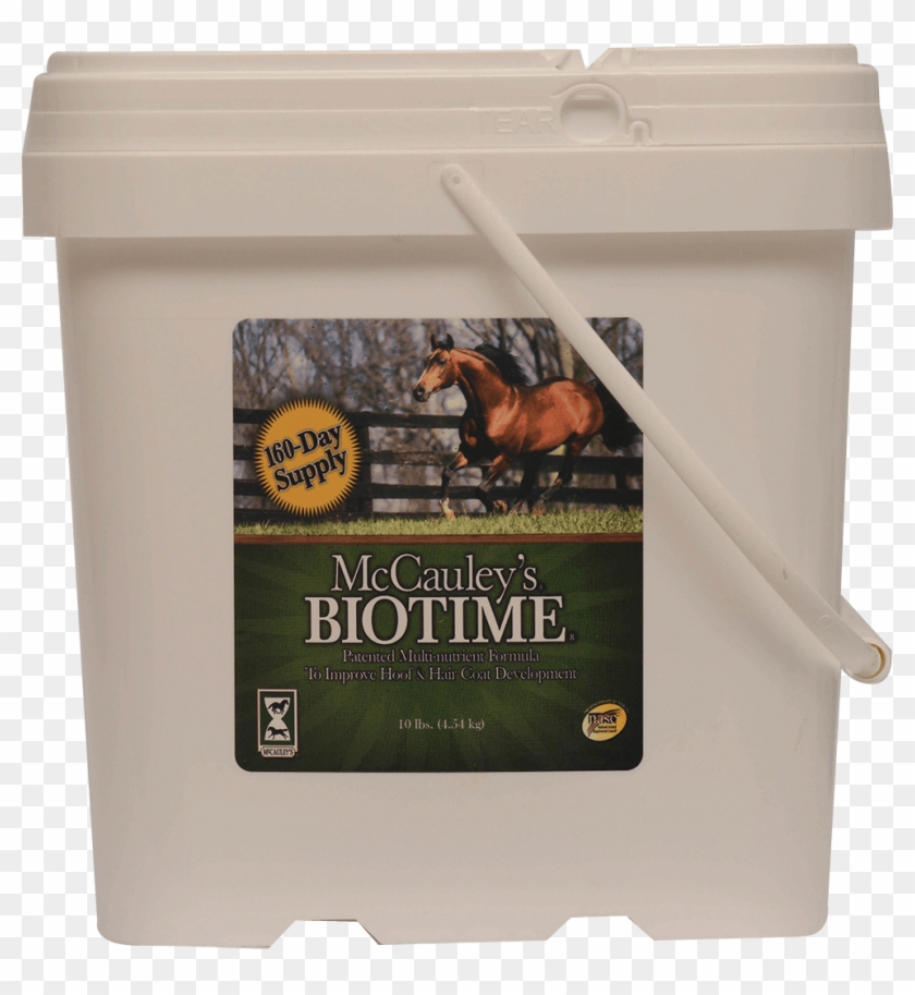 Big Hits Big Four Clipart #4633848