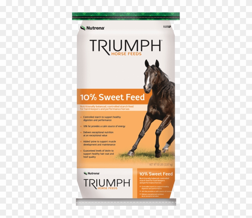 4671504 4671504 Image 4671504 Triumph 10 Sweet - Triumph 12 Sweet Feed Clipart #4634331